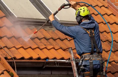 Démoussage et hydrofuge de toiture à Sainte-Pexine